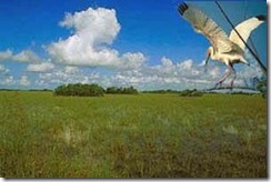 Everglades National Park
